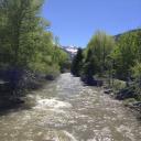Img002.JPG