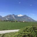 Img005.jpg
