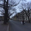 Img006.jpg